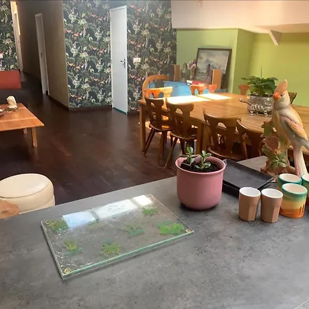 Hotelschip Bracksand City, In De Zomer En De Winter!