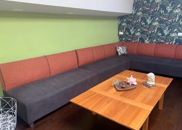 Hotelschip City, In De Zomer En De Winter! 船屋 阿姆斯特丹