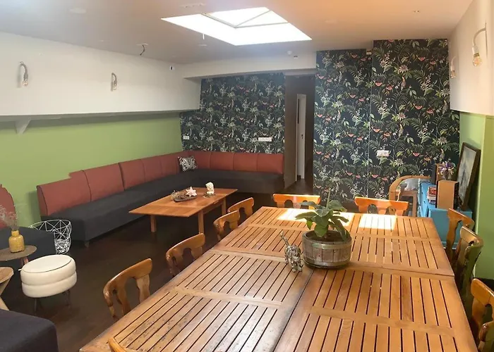 Hotelschip City, In De Zomer En De Winter! 船屋