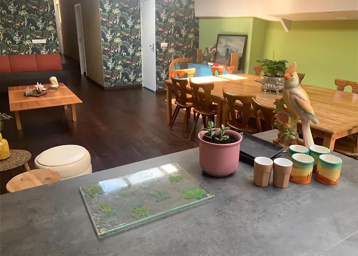 Hotelschip City, In De Zomer En De Winter!